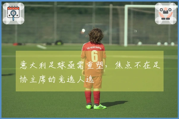 意大利足球亟需重塑，焦点不在足协主席的竞选人选