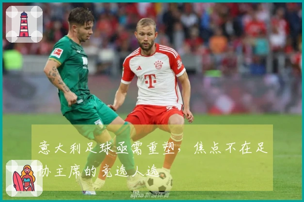 意大利足球亟需重塑，焦点不在足协主席的竞选人选